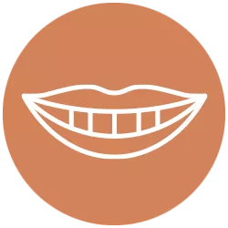 Spark Case Gallery Icon